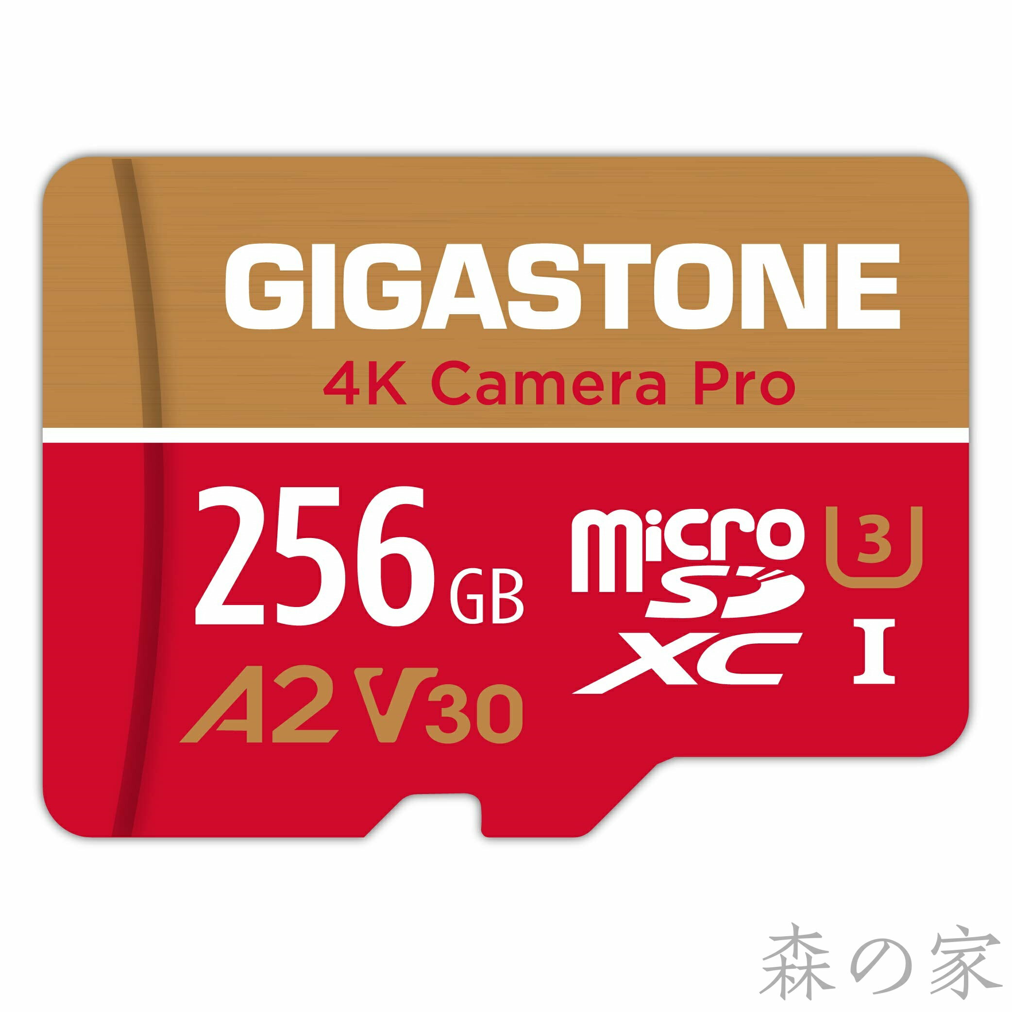 【送料無料】GIGASTONE �