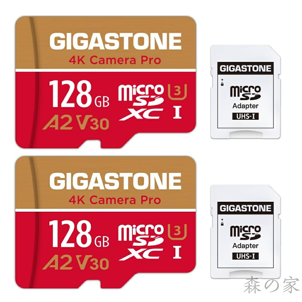 【送料無料】GIGASTONE �
