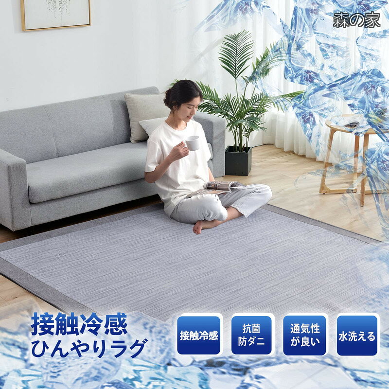 【送料無料】ラグ 夏 カーペット ひんやり 接触冷感 ラグマット 夏用 洗える 正方形 2畳 180x180 cm 厚7 mm 防ダニ加工 防臭 じゅうたん morinoya-light-10046145 森の家 サンプル画像2