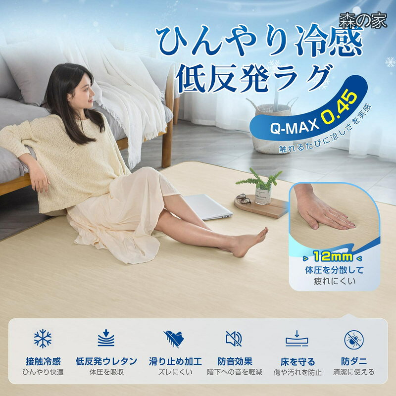 【送料無料】夏用ラグマット カーペット 冷感 ラグ 低反発 厚12mm 3畳 ひんやり 接触冷感 Q-MAX0.45 夏 滑り止め 防音ウレタン 吸湿速乾 節電対策 防音 防臭 防ダニ加工 19 morinoya-light-10046471 森の家 サンプル画像2