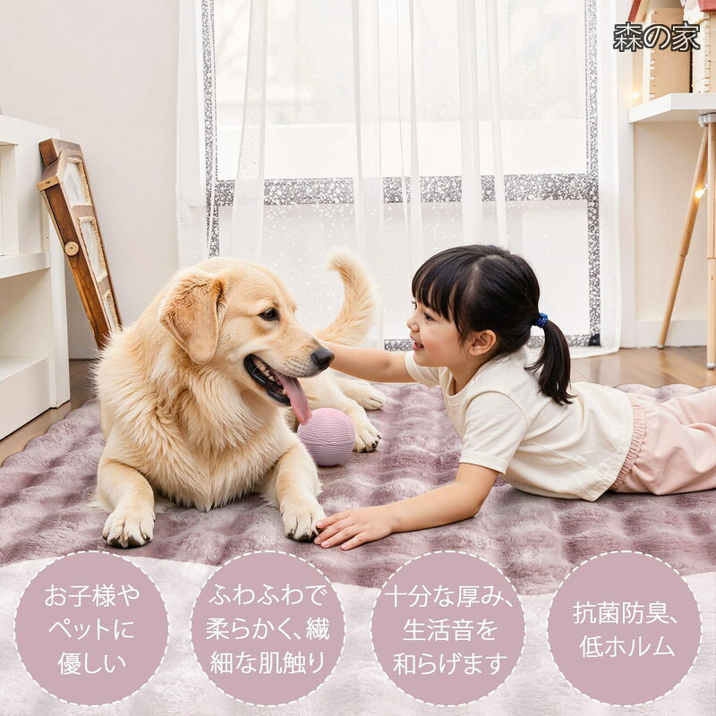 【送料無料】カーペット 約3畳 洗える ラグ 200х250cm ラビットファー調 厚手 シャギー ふわふわ 滑り止め 低反発 オールシーズン適用 北欧風 絨毯 防音 抗菌防臭 リビン morinoya-light-10047124 森の家 サンプル画像2
