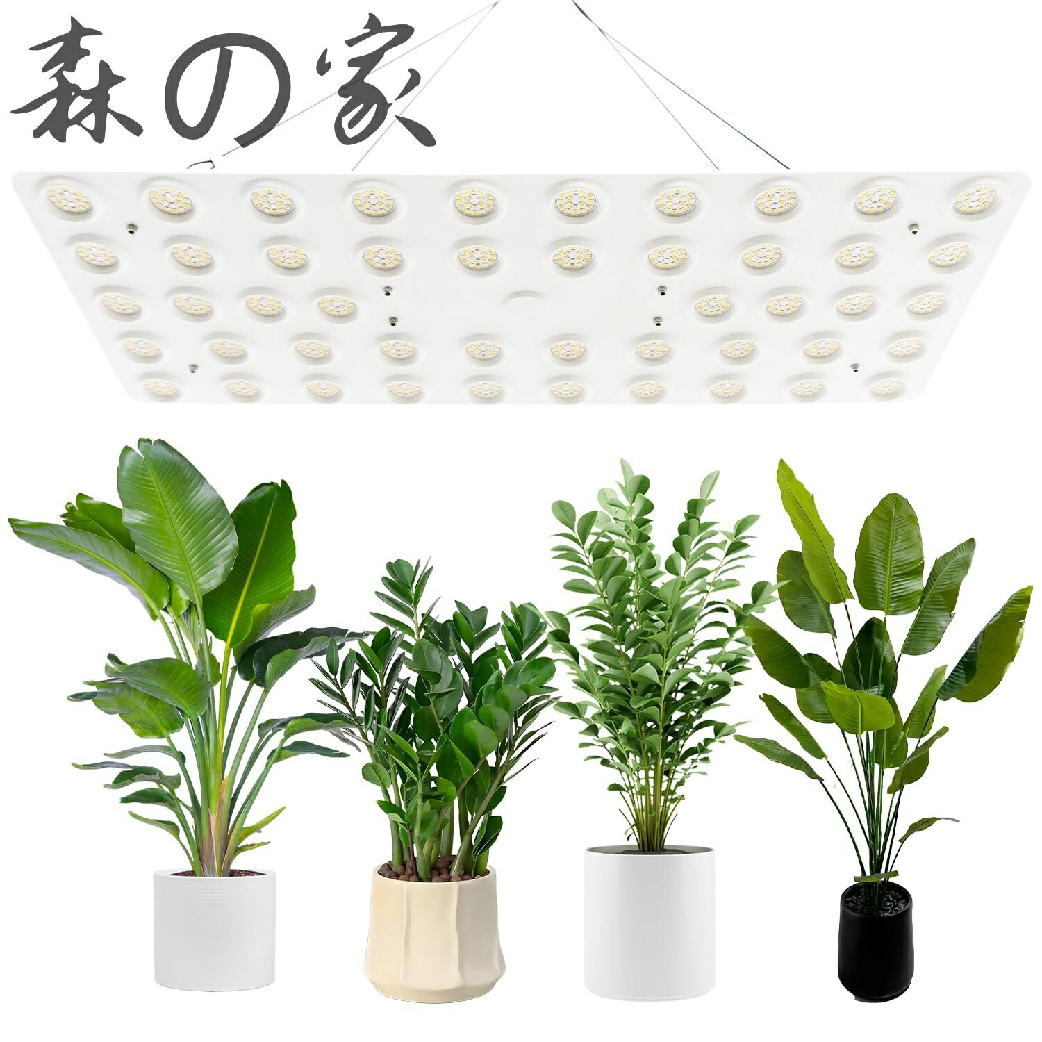 Rakuten - 【送料無料】量子灯 フルスペクトルLED植物ライト IP65防水 0-10Vつまみ調光 240W 室内栽培・家庭菜園・室内ガーデニング。