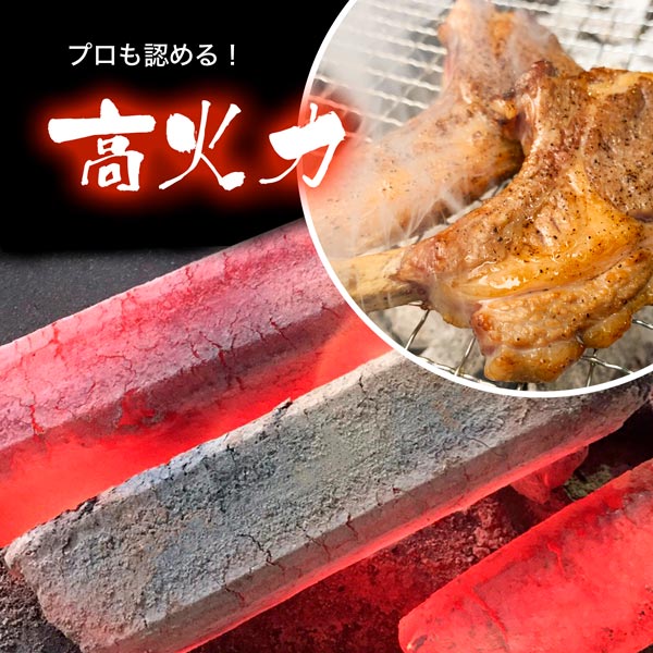 おが備長炭 10kg BBQ アウトドア キャンプ 焼肉 焼鳥 うなぎ 炭 木炭 バーベキュー 高品質 オガ炭 おが炭 四角形通販格安セール情報 楽天 通販