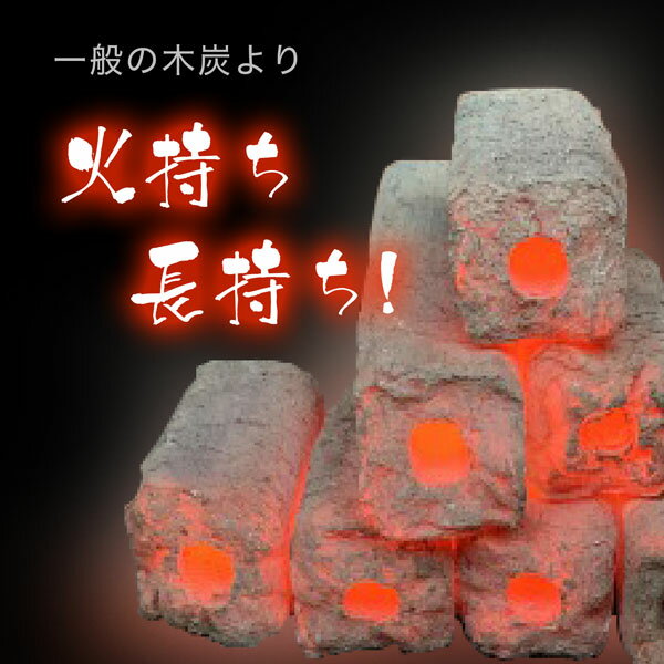 おが備長炭 10kg BBQ アウトドア キャンプ 焼肉 焼鳥 うなぎ 炭 木炭 バーベキュー 高品質 オガ炭 おが炭 四角形通販格安セール情報 楽天 通販