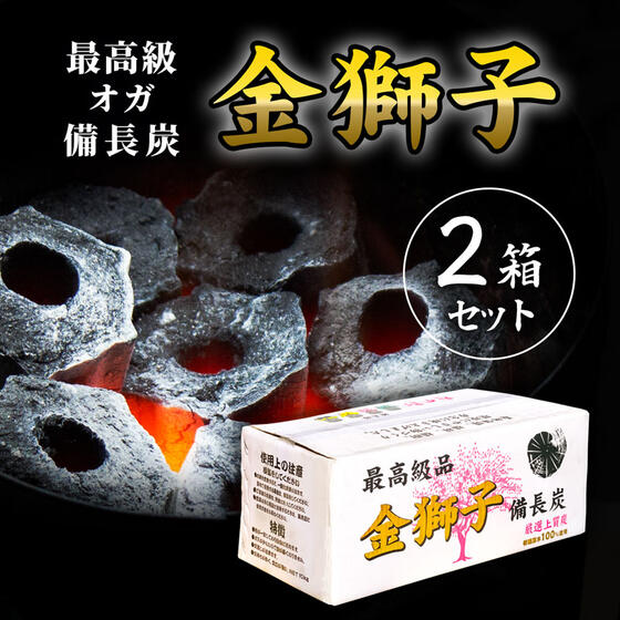 最高級 金獅子 おが備長炭 10kg×2箱 BBQ アウトドア キャンプ 焼肉 焼鳥 うなぎ 炭 木炭 バーベキュー 高品質 おが備長炭 オガ炭　おが炭　六角形　一級 たかやま