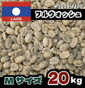 幻のラオスデラピカコーヒー フルウォッシュ Mサイズ 20kg(3)
