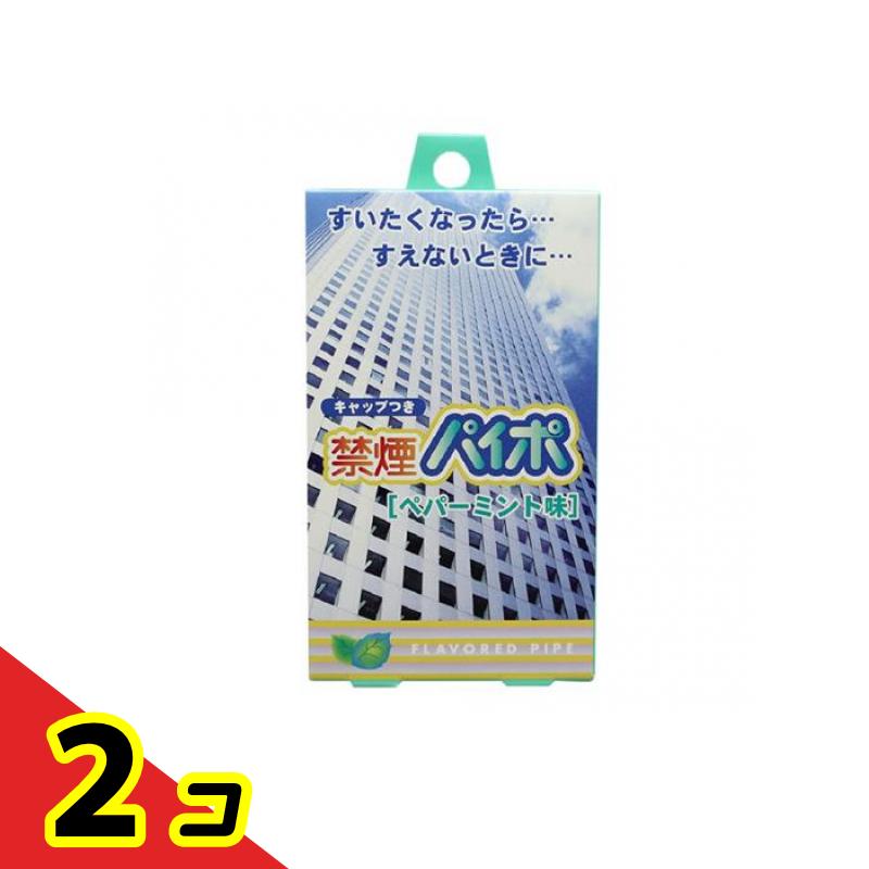 禁煙パイポ ペパーミント 3本 2個セット