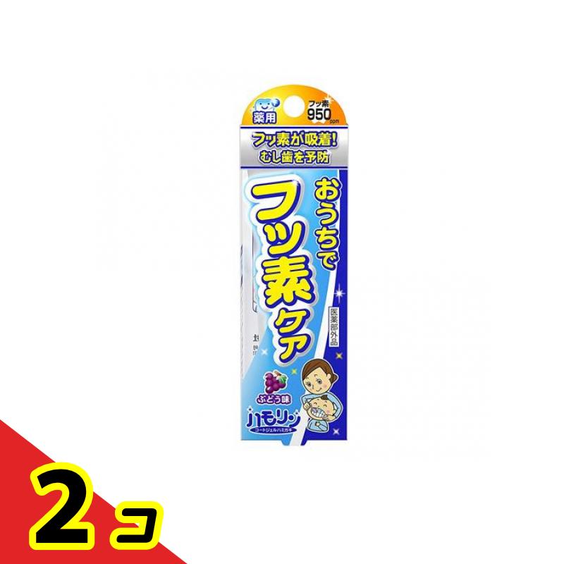 �ϥ��� �����ȥ�����ϥߥ��� �֤ɤ�̣ 30g 2�ĥ��å�