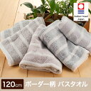 今治タオル 家庭用 贈答【バスタオル スタイリッシュボーダー】約60×120 国産 日本製 高品質 綿100% コットン ボーダー 吸水性力 コンセプトタオル 大判 タオル おしゃれ 高級 やわらか 毎日使い デイリー 今治ブランドタオル 全5色 長めのパイル