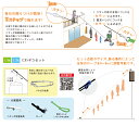 友禅鯉 1.5m6点 鯉3匹 にわデコセット 徳永鯉 こいのぼり 鯉のぼり KOINOBORI | 端午の節句 飾り 子供の日 子どもの日 こどもの日 ベランダ 庭 節句飾り セット 庭園用 庭園セット おしゃれ フック 家用 鯉のぼりセット 庭用 日本製 2