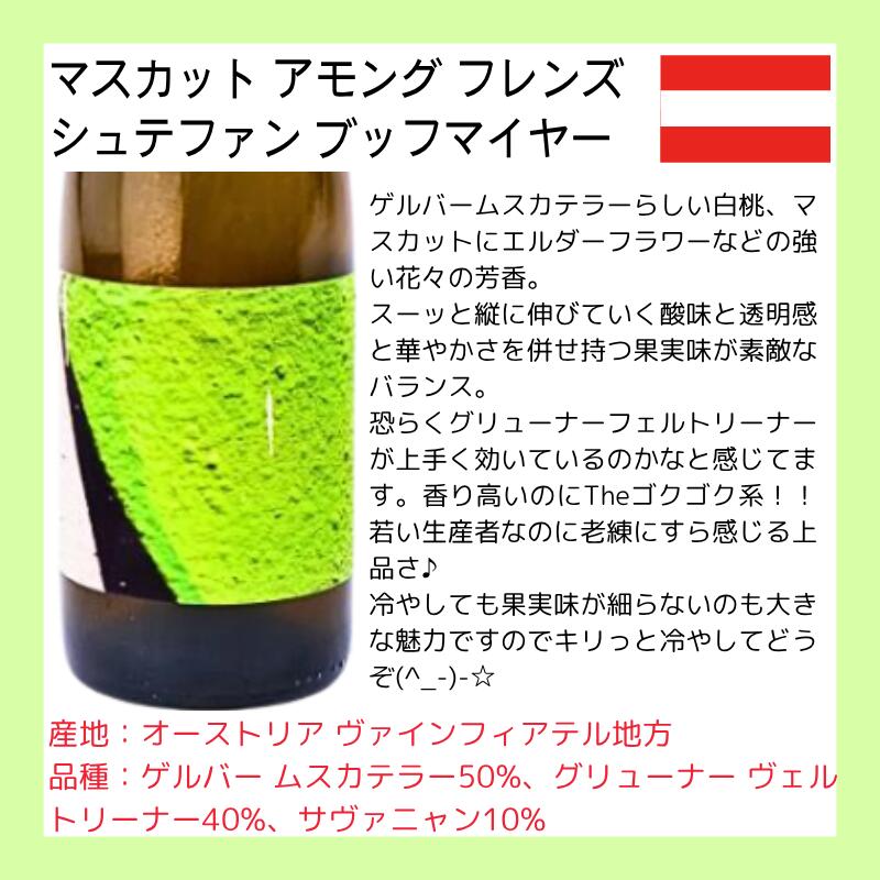 激売れ！ナチュラルワイン（ビオ 自然派）泡 白 赤ワイン5本セット《ウィークリー編》（クール便指定は別途400円） morisawa-10017258 リカーMORISAWA サンプル画像3