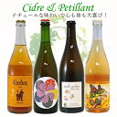 ☆2025夏☆泡・泡・泡4本セット【B】ナチュールな味わいで心も体も大喜び!(クール便指定は別途400円)