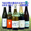 激売れ!BIO ナチュラルワイン(ビオ 自然派)白ワイン5本セット《中級編》(クール便指定は別途400円)