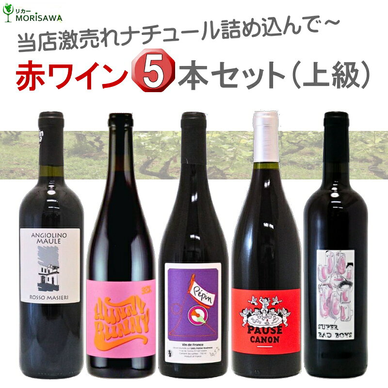 難しい知識はいらない。ただ『美味しい』と心満たされる、赤5本セット 『お客様の声』から生まれた自然派5本セット《上級編》 激売れ！自然派ワインの中から、たくさんの方から愛されているおススメ5本をセレクトしました。 もちろん、店長お墨付きのワイン。リピーターがたくさんの素晴らしいナチュールワイン達です。 「ビオって美味しい!!!次はグッとランクを上げて…」と感じて頂けたら《上級編》！ 《上級編》ではただ美味しいだけでなく飲み応え豊かな味わいとしっとりとした時間をお届け。 身体に優しくスムースなBIOワインは、やっぱり切らしたくな～～～い！ もちろん、送料無料でお届けします。15本まで同梱(クール便は10本まで)もできます。