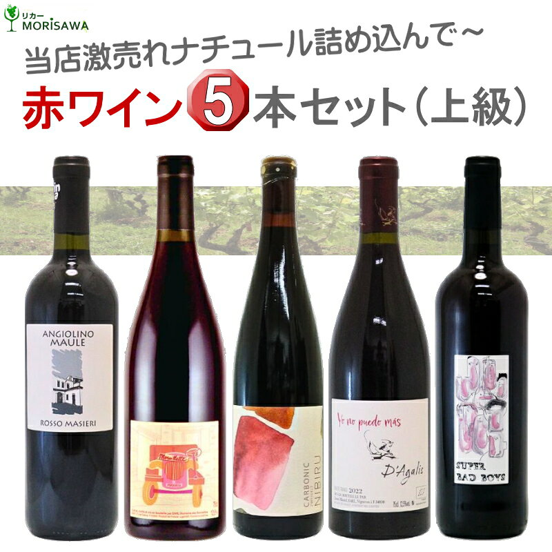 激売れ！ナチュラルワイン（ビオ 自然派）赤ワイン5本セット《上級編》（クール便指定は別途400円）