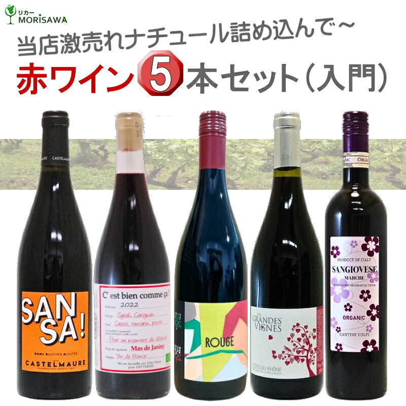 激売れ！ナチュラルワイン（ビオ 自然派）赤ワイン5本セット《入門編》（クール便指定は別途400円） morisawa-10003748 リカーMORISAWA パッケージ画像