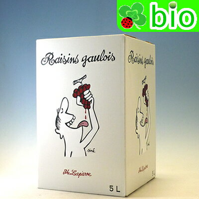 VdFルージュ レザン・ゴーロワ　バッグ・イン・ボックス(5L)[2022]マルセル・ラピエール Raisins Gaulois BIB Marcel LAPIERRE【あす楽_土曜営業】のサムネイル