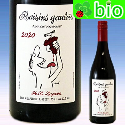 VdFルージュ レザン・ゴーロワ[2022]マルセル・ラピエール Raisins Gaulois Marcel LAPIERRE【あす楽_土曜営業】のサムネイル