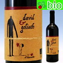 ちょっと他にはない乳酸が大活躍しているワイン！ Mr.ボバルの名に恥じないラファのフラッグシップ！ バレンシアの内陸部、標高900m、粘土質に植わる樹齢65年のバレンシア伝統品種ボバル。 濃いことで有名な品種で醸しも短いことが多い中で、ラファは全房で4カ月と驚異的に長期の醸し。 古樽に移し、1年に渡りジュラで一般的な全面的醸造を行います。(※澱を除かずアルコール発酵と並行して 乳酸発酵を行いしかも同時に撹拌をして発酵を促す手法) 乳酸発酵が始まるとアルコール発酵が鈍化し、酢酸菌などの醸造上の危険がある事から、自然なワイン造りでは 敬遠される中で敢えてこんなクレイジーな醸造(@_@！ 縁がガーネットのルビーの色調。ダークチェリーなど赤黒果実風味に、シダー(杉)やカカオ、バルサミコ、 ほのかにマカデミアナッツなど、様々な香りが重層的に押し寄せてきます。 ボバルかつ長期の醸しなのに驚くほどのスムーズな口当たり♪ 高標高だけにブドウの酸度もかなりのものだそうで、酸・タンニンの豊かなワインになるはずなのですが、 すべてを乳酸がま〜〜〜〜るくまとめ上げるのが肝！！ タンニンも酸も味わいの“角”になり得る要素の全てを乳酸がコーティングし、かつ各要素の魅力はそのまま。 味わいも濃厚な赤系の果実味にタンニンからくるカカオの風味が絡み、上品な酸とのバランスも秀逸。 ビロードのようなタンニンの口当たりは妖艶とまで表現できるレベルで、 言うなれば究極の「足し算」！！ 想定外のバランス感覚は天才的で正に唯一無二です！ DATA 品種 ビオ／赤：ボバル100％ インポーター：ラヴニール 容量 750ml 産地 スペイン　ヴァレンシア地方