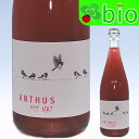 ATX@[EybgEibg(Lot2022)(TXt)OA|XECEvWFNg Anthus Ros? Pet-Nat Guapos Wine Project