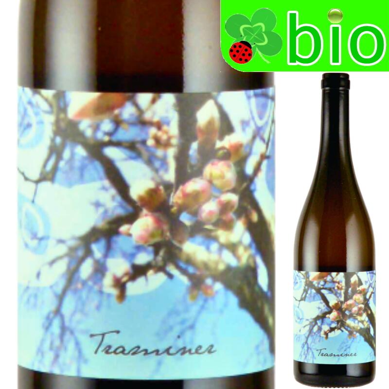 トラミーナー[2024]ユーディト ベック Traminer Judith Beck オレンジワイン 辛口 ナチュラルワイン ナチュール 自然派 morisawa-10018053 リカーMORISAWA パッケージ画像