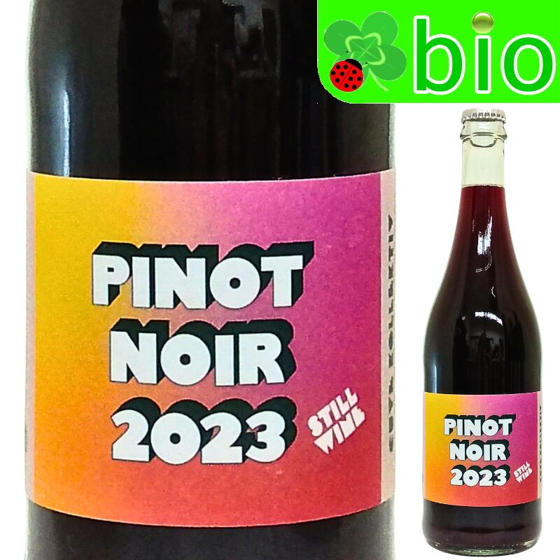 ピノノワール[2023]ソーマ ヴァインズ(アントワーヌ ルケシ) Pinot Noir Soma Vines(Antoine Lucchesi) 赤ワイン 辛口 ナチュラルワイン ナチュール 自然派 酸化防止剤無添加 morisawa-10018094 リカーMORISAWA パッケージ画像