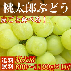 桃太郎ぶどう特大房（約800g〜1100g×1房）大粒・種なし、皮ごとそのまま食べられます！外はパリッと中身はとっても甘くてジューシー♪[フルーツ/果物/ぶどう/葡萄/ブドウ/岡山/送料無料]