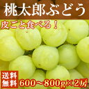 岡山産 桃太郎ぶどう（約600g〜800g×2房）大粒・種なし、皮ごとそのまま食べられます！外はパリッと中身はとっても甘くてジューシー♪[フルーツ/果物/ぶどう/葡萄/ブドウ/岡山/送料無料]