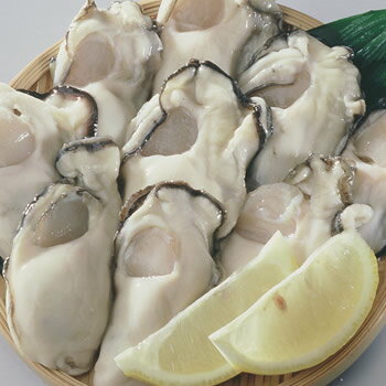 岡山日生（ひなせ）産 冷凍牡蠣 1kg袋（2Lサイズ）（海鮮/貝/牡蠣/かき/カキオコ/加熱用/岡山/お歳暮）10P01Nov14