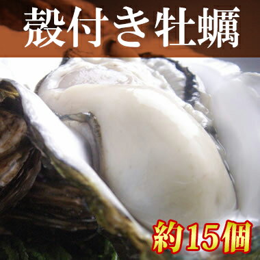 【送料無料】岡山虫明産 曙牡蠣 3年物 殻付きかき約15個!(海鮮/貝/牡蠣/生かき/カキオコ/岡山/お歳暮)【楽ギフ_のし】【楽ギフ_メッセ】