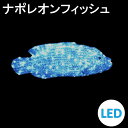 イルミネーション LEDクリスタルグロー ナポレオンフィッシュ 防雨 常時点灯 組立式