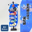五月人形 お祝い 端午の節句 おしゃれ 室内鯉のぼり 室内鯉幟 誠桜鯉 飾り台付き 高さ48cm