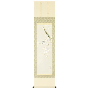 掛け軸 掛軸 かけじく 四季 春 桜に小禽 佐藤桂三 半切立 47×190cm 桐箱収納
