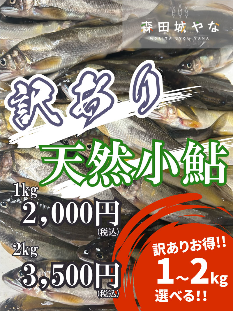 天然小鮎【訳あり】 1キロ 冷凍 小あゆ 栃木県那須烏山市那