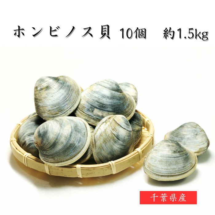 楽天市場】ホンビノス貝（セット・詰め合わせ｜魚介類・水産加工