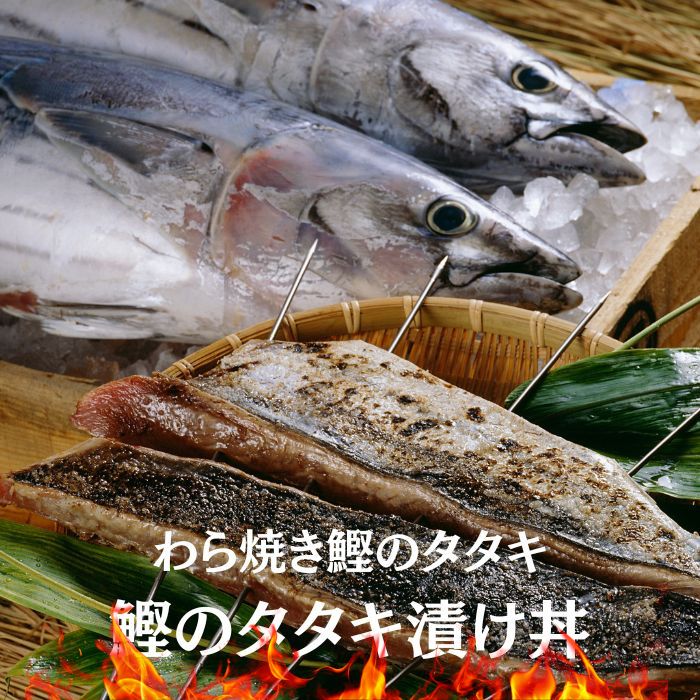 魚 カツオ漬け丼 5パック 鰹漬け丼 ギフト 海鮮 ギフトお取り寄せ 海鮮福袋 時短 簡単 漬け丼 海鮮 詰め合わせ 海産物 海鮮丼の具 魚介 漬けダレ 海鮮セット 詰め合わせ 漬け丼 冷凍 魚 海鮮丼 海鮮丼セット 詰め合わせ 真空パック 小分け 保存食 茶漬け