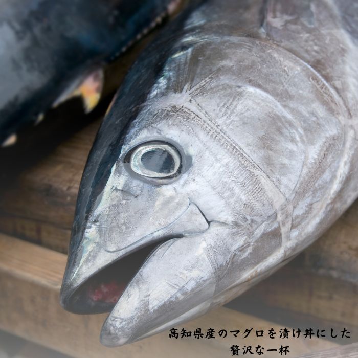 魚 マグロ漬け丼 5パック 鮪漬け丼 ギフト 海鮮 ギフトお取り寄せ 海鮮福袋 時短 簡単 漬け丼 海鮮 詰め合わせ 海産物 海鮮丼の具 魚介 漬けダレ 海鮮セット 詰め合わせ 漬け丼 冷凍 魚 海鮮丼 海鮮丼セット 詰め合わせ 真空パック 小分け 保存食 茶漬け