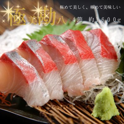 カンパチ刺身 カンパチ 4節 須崎 カンパチ お刺身 柵 さく 刺し身 さしみ カマ カンパチ 養殖 カンパチ 半身 カンパチ片身 カンパチ フィレ 海鮮丼漁師丼 漁師のまかない 海鮮漬け丼 送料無料 カンパチ刺身 カンパチ 4節 須崎 カンパチ お刺身 柵 さく 刺し身 さしみ カマ カンパチ 養殖 カンパチ 半身 カンパチ片身 カンパチ フィレ 海鮮丼漁師丼 漁師のまかない 海鮮漬け丼 送料無料