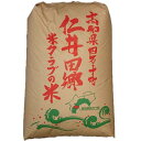 【令和5年度産】 ・一般的に香り米は普通のお米に混ぜて利用されますが、「神の香〜カミノカ（品種名：汢 ノ川1号）」はそのまま食べても最初から 香り米を混ぜているかのように香りと味のバランスの取れたお米を目指して開発されました 。 ・今までの香り米と違いお米自体が香るのです。 全国の消費者が実際に食べて選んだおいしいお米の中から日本一を決める、 米コンテスト「あなたが選ぶ日本一おいしい米コンテスト」で快挙の3年連続金賞を受賞致しました! さらにお米の旨みを成分から評価する「米・食味分析鑑定コンクール国際大会」でも最高位の特別優秀賞を受賞。 特別栽培米のガイドラインはコチラ 仁井田郷米クラブのお米はきめ細かい栽培計画でその年々により味に変化のない「いつでも おいしい米作り」を実現しています。 香り米は高知県が日本一の産地。 世界的には最高級と位置付けされます。 四万十米クラブ（旧：仁井田郷米クラブ）の栽培する究極の香り米をご堪能下さい。 「神の香〜カミノカ（品種名：汢ノ川1号）（ヌタノカワ）」 原料玄米 単一原料米 産地 高知県・四万十町 品種 産地証明米 商品仕様 香り米100%（ブランド：神の香） 内容量 30kg 産年 令和5年 販売者 グレイジア株式会社 高知県高知市追手筋1-3-1 TEL088-855-8037