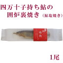 高知県四万十市産　四万十子持ち鮎の囲炉裏焼き（鮎塩焼き）1尾／冷凍／国産／アユ／あゆ／こうち