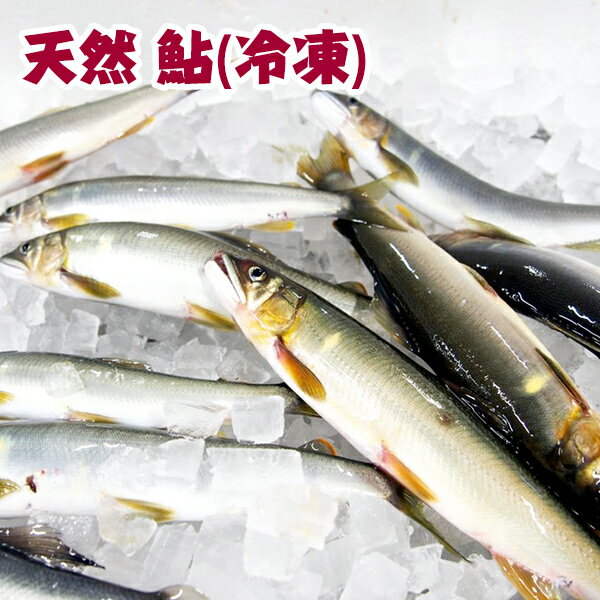 四万十川天然　鮎（冷凍）Mサイズ　5匹セット/1匹約90g〜120g/個包装