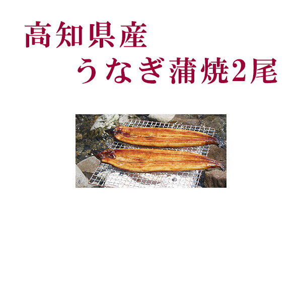 高知県産 うなぎ蒲焼 2尾/四万十/高知/冷凍/国産/無添加/ウナギ/鰻