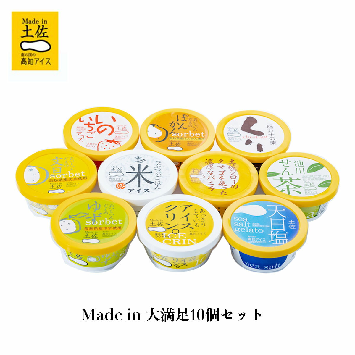 アイス 詰め合わせ 高知アイス Made in 大満足10個セット アイスクリーム ご当地アイス 詰め合わせ 栗アイス 天日塩 お米アイス ギフト シャーベット カップアイスのサムネイル