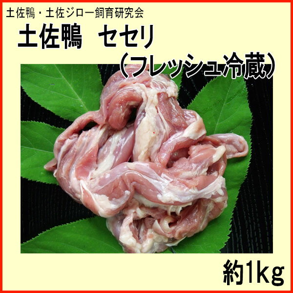 土佐鴨 セセリ （フレッシュ冷蔵）約1kg／土佐鴨・土佐ジロー飼育研究会／かも／カモ／せせり