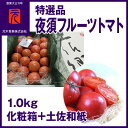 特選品[A-037]【市場直送便】夜須フルーツトマト／1.0kg（約20玉） 化粧箱詰＋土佐和紙／冷蔵便／元木青果／フルーツトマト／高知／産地直送／プレゼント／贈答／御祝い