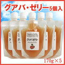 グァバゼリー170g5本入り（高知県黒潮町産）ジョブなしろ グアバ 20%グァバ果汁入りゼリー