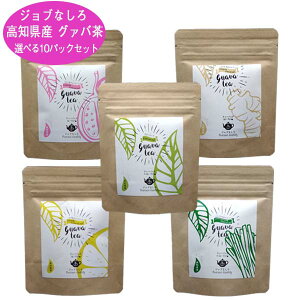 グァバ茶 選べる 10パック セット ジョブなしろ 高知県黒潮町産グァバの葉使用 グアバティー ティーバッグタイプ