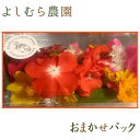 【食べるお花・エディブルフラワー よしむら農園】おまかせパッ...