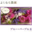 【食べるお花・エディブルフラワー よしむら農園】ブルー・パー...