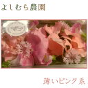 【食べるお花・エディブルフラワー よしむら農園】薄いピンク系...